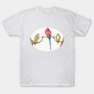 Scarlet Macaw with Two Smaller Green Parrots (1575–1580) T-Shirt